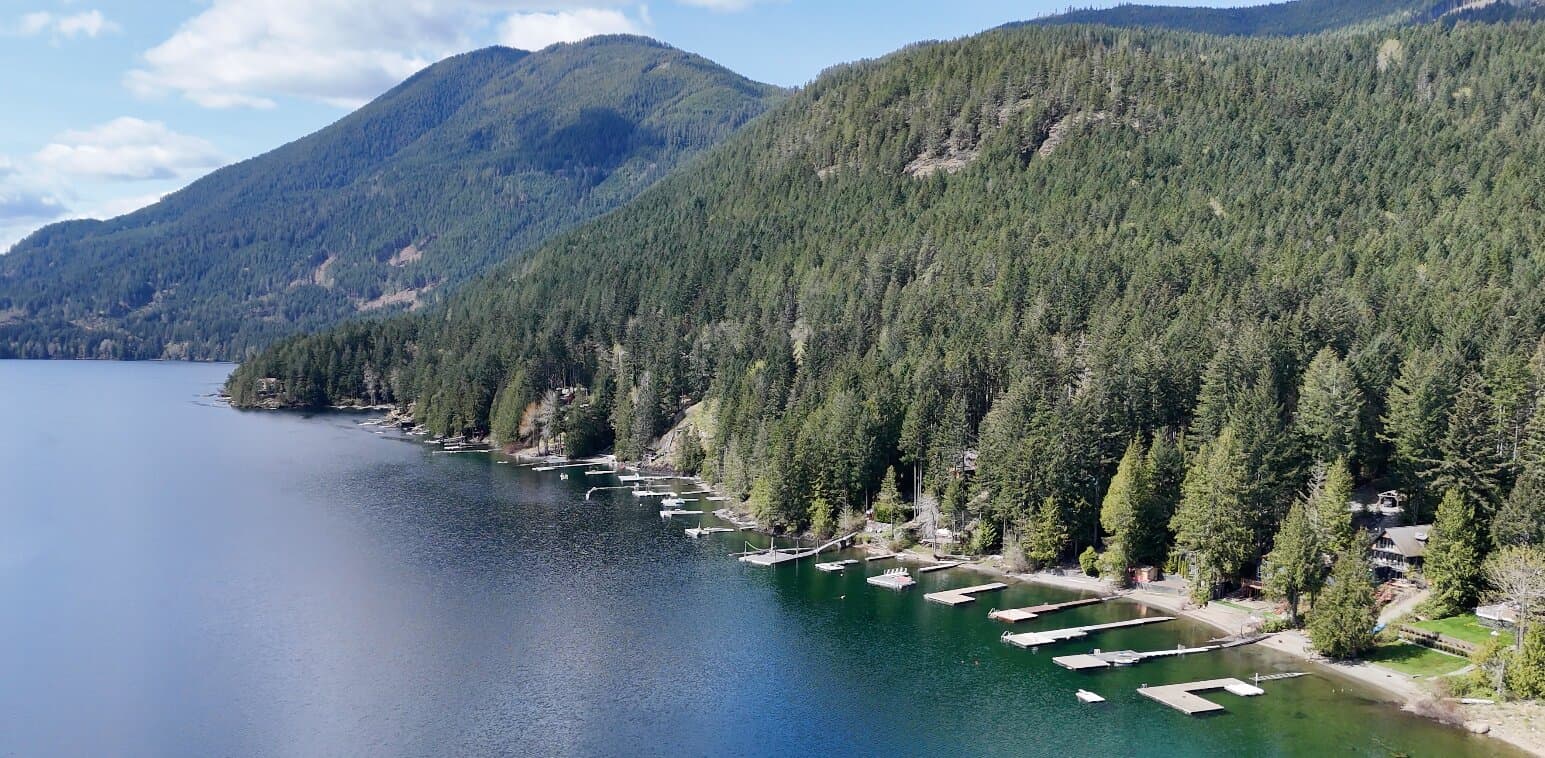 Aerial view of a forested Vancouver Island shoreline lined with private docks and waterfront homes