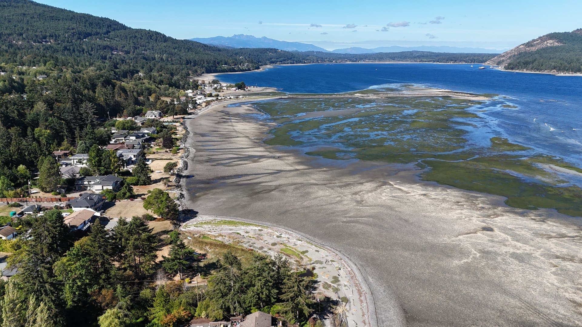 Aerial view of waterfront homes along a Vancouver Island beach at low tide, with tidal flats and channels running out to open water and mountains beyond